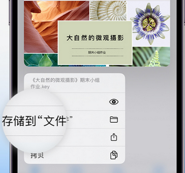 下冶镇apple维修中心分享iPhone文件应用中存储和找到下载文件