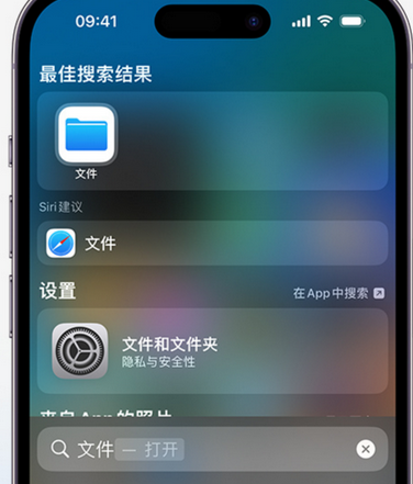 下冶镇apple维修中心分享iPhone文件应用中存储和找到下载文件