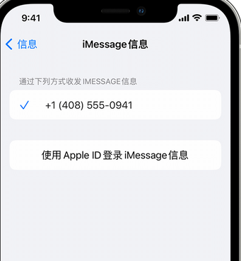 下冶镇apple维修iPhone上无法正常发送iMessage信息 