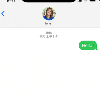 下冶镇apple维修iPhone上无法正常发送iMessage信息