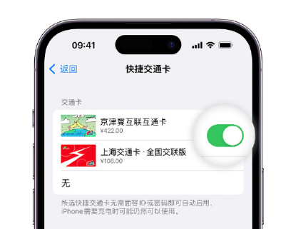 下冶镇apple维修点分享iPhone上更换Apple Pay快捷交通卡手绘卡面 