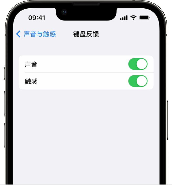 下冶镇苹果14维修店分享如何在 iPhone 14 机型中使用触感键盘 