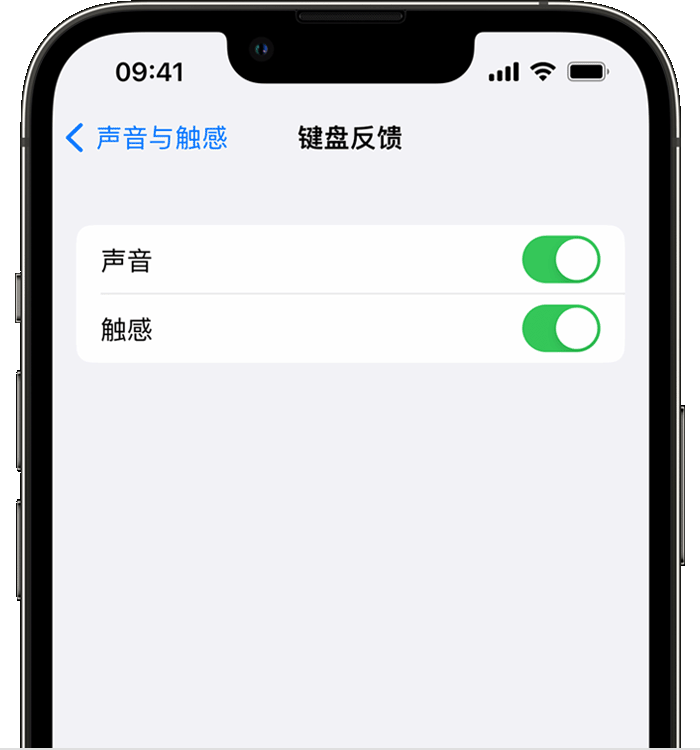 下冶镇苹果14维修分享iPhone 14 系列机型如何开启键盘声音或触感反馈 