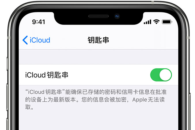 下冶镇苹果手机维修分享在 iPhone 上开启 iCloud 钥匙串之后会储存哪些信息 