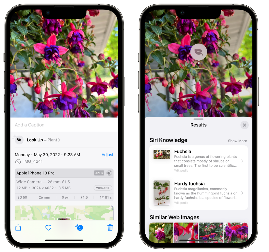 下冶镇苹果手机维修分享小技巧：使用 iPhone 相机识别花卉植物 