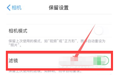 下冶镇苹果13维修分享iPhone13拍照有绿点是怎么回事 